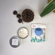 Load image into Gallery viewer, Orca and Bee Travel Toothtabs Tin