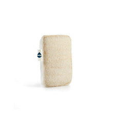 Load image into Gallery viewer, Seep Compostable Sponge With Loofah Scourer
